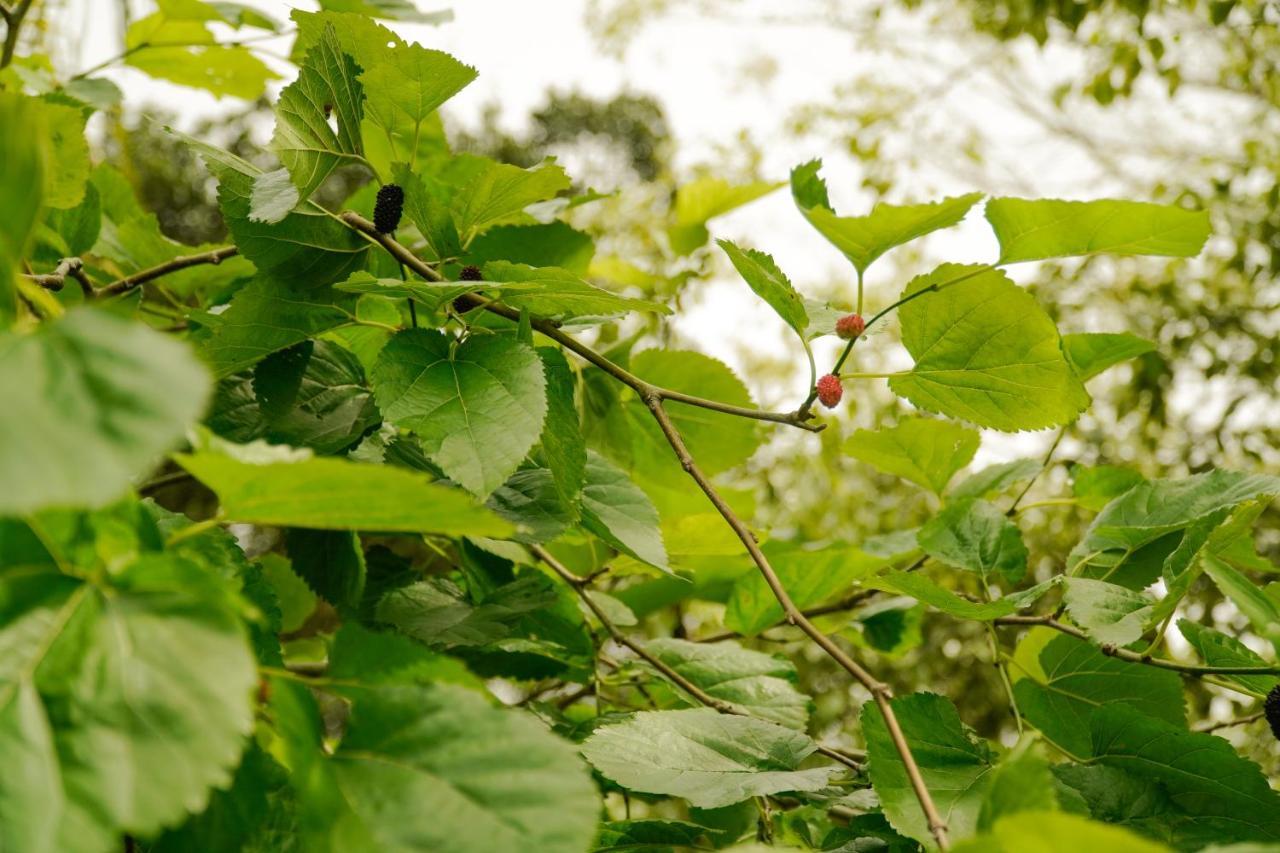 Pousada Dunasol Floripa Florianópolis 외부 사진