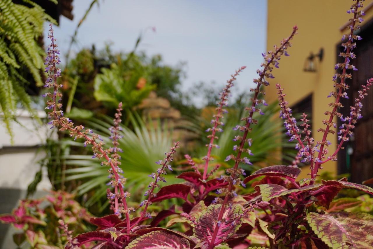Pousada Dunasol Floripa Florianópolis 외부 사진