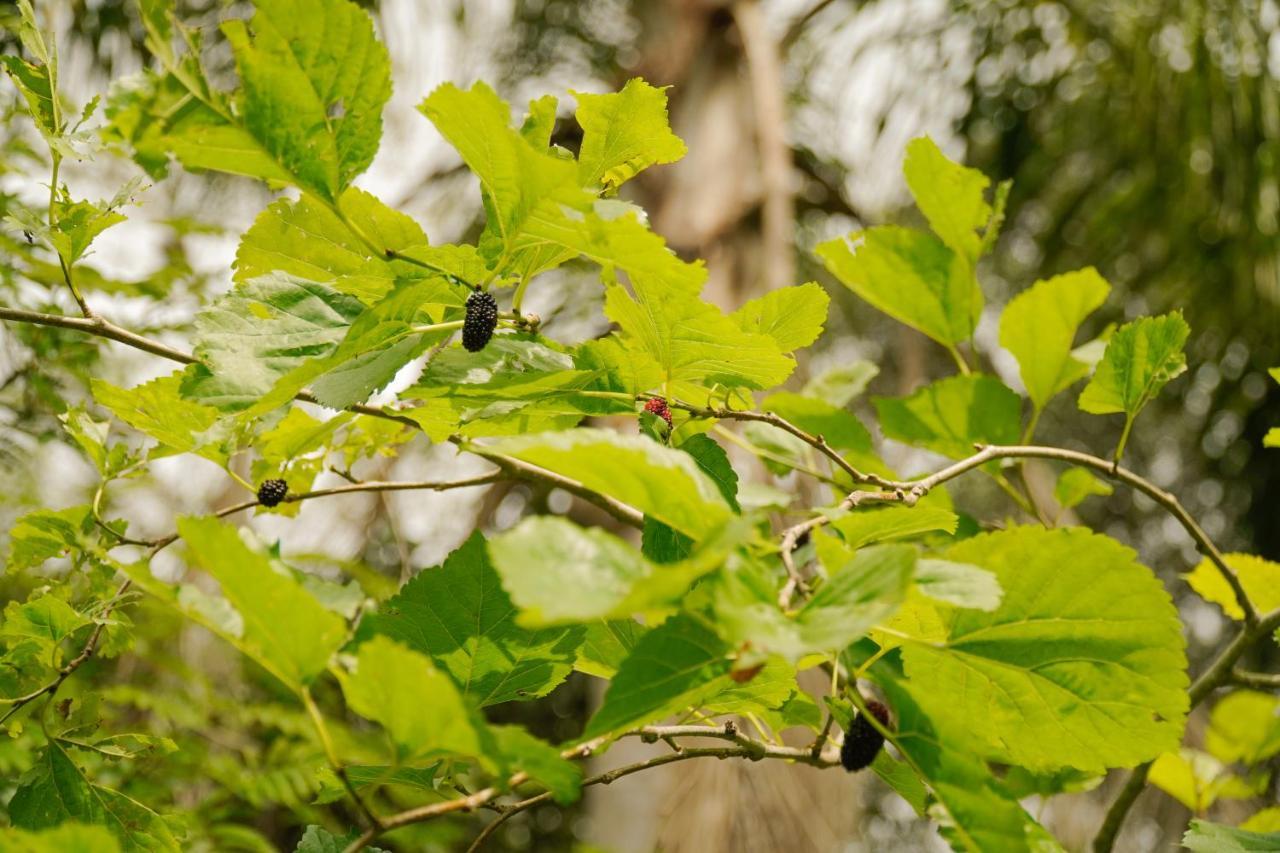 Pousada Dunasol Floripa Florianópolis 외부 사진