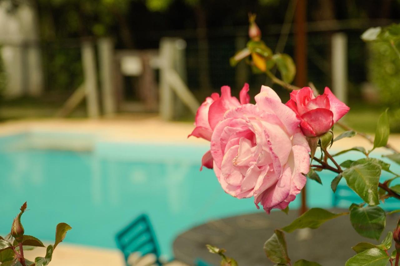 Pousada Dunasol Floripa Florianópolis 외부 사진