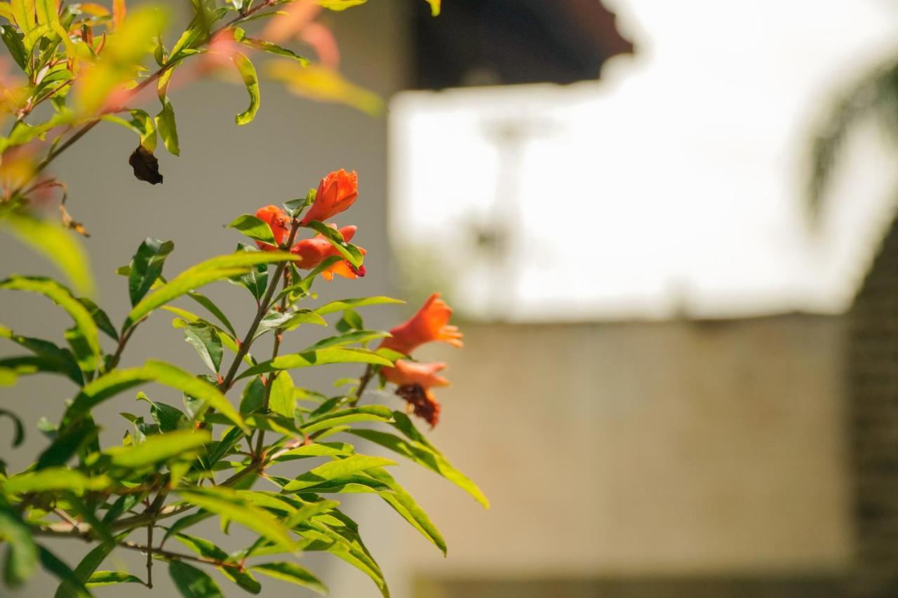 Pousada Dunasol Floripa Florianópolis 외부 사진