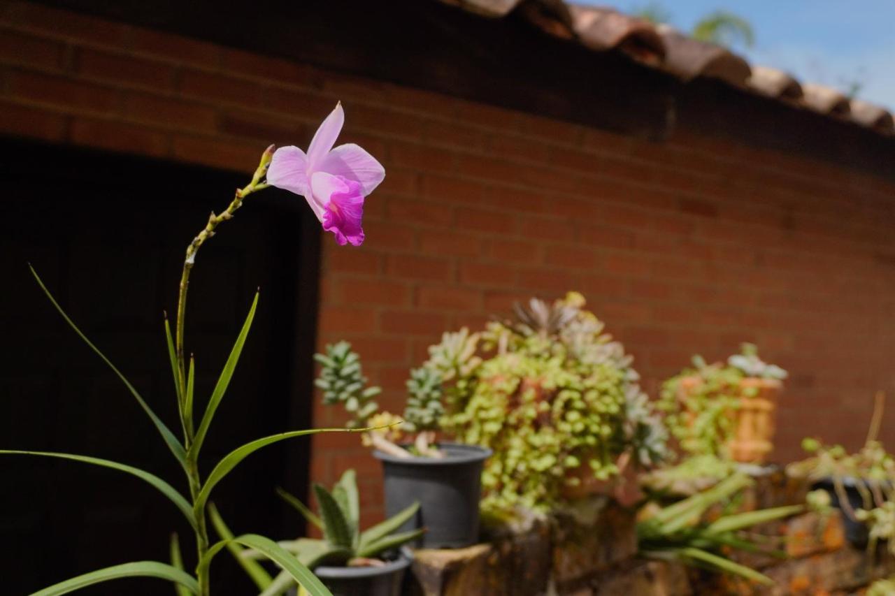Pousada Dunasol Floripa Florianópolis 외부 사진
