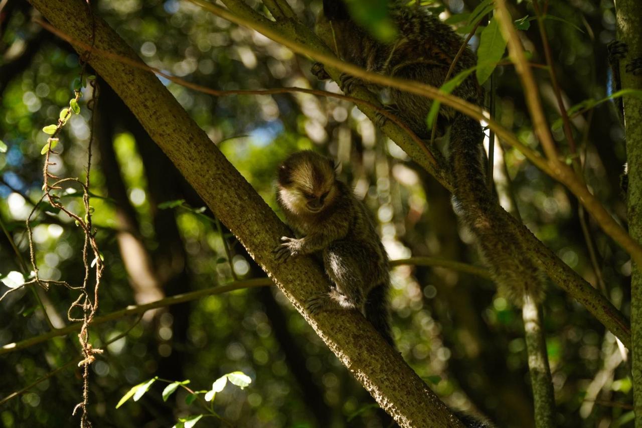 Pousada Dunasol Floripa Florianópolis 외부 사진